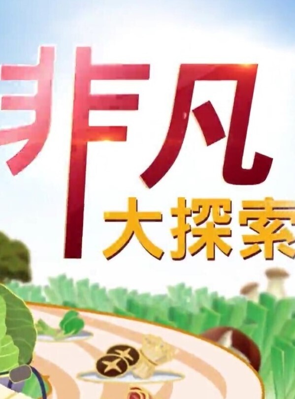 真实约啪高颜值美女做爱完美露脸高颜值女神臣服于胯下爽炸 - 热播影院