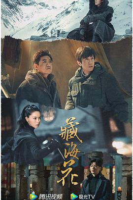 青青老司机在线观看 - 热播影院